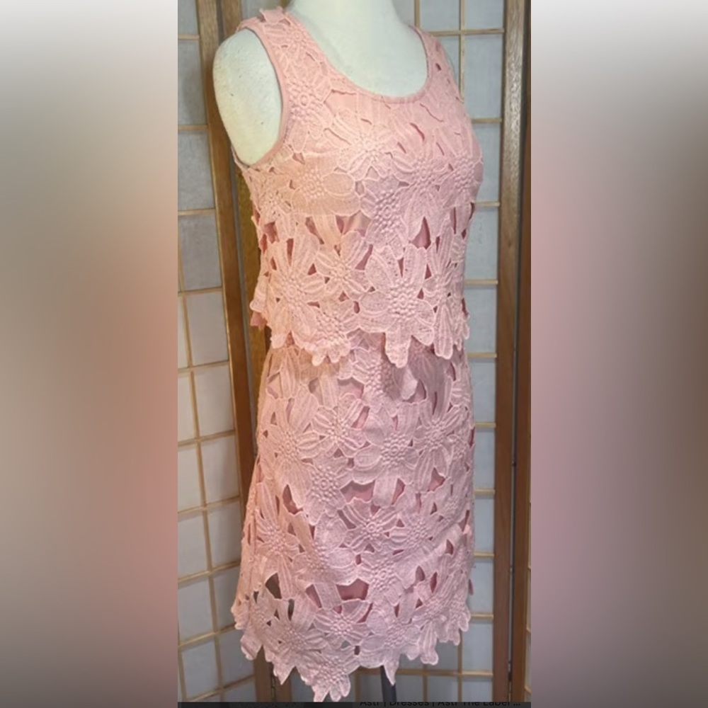 Francesca‘s Miami Pink Lace Sheath Dress Scoop Neck Sleeveless